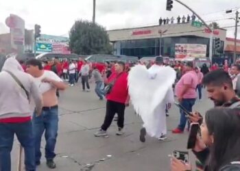 Se viraliza extraño personaje Alado