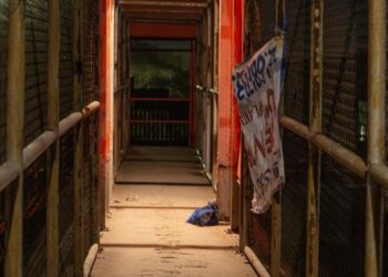 Dejan Narcomanta y restos de animales en Puente Peatonal