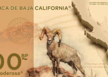 Billetes Conmemorativos