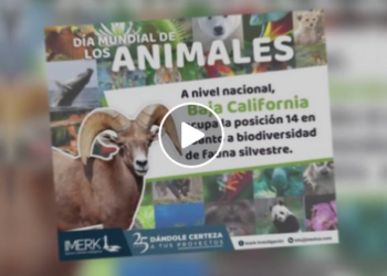 Reinventando la Comunicación y la Política