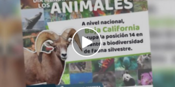 Reinventando la Comunicación y la Política