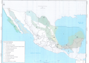 Sorprendente informe sobre el potencial de Extracción de hidrocarburos en el Brazo Poderoso