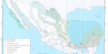 Sorprendente informe sobre el potencial de Extracción de hidrocarburos en el Brazo Poderoso