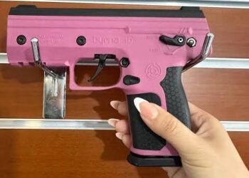 Fuerza por México Propone Dotar a Mujeres con Armas Disuasivas: ¿Una Solución Controversial o una Estrategia de Protección?